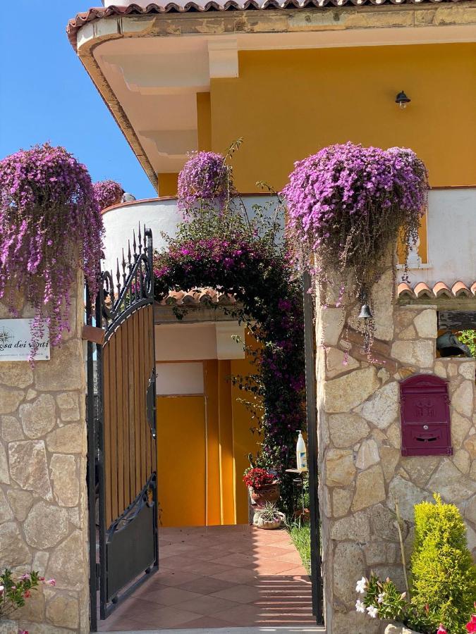 Rosa dei Venti Accomodation Tropea Esterno foto